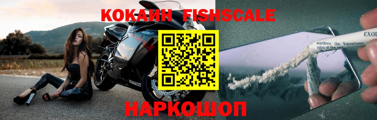 COCAIN Fish Scale  Будённовск 