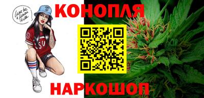 крисы Апшеронск