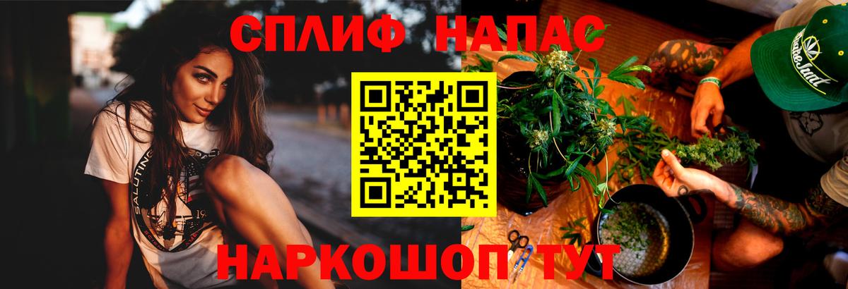 Каннабис OG Kush Будённовск